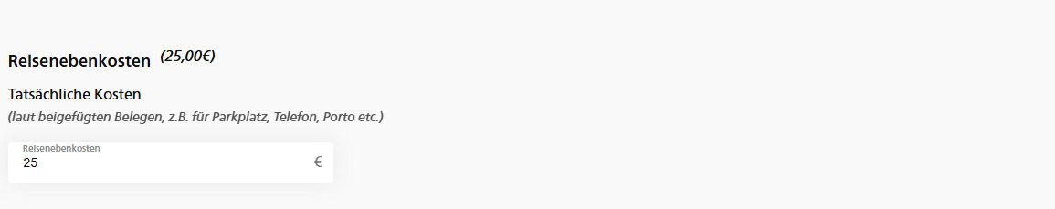 Reisenebenkosten